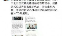 鲁山爆料者最新回应消息,揭秘事件真相与后续发展